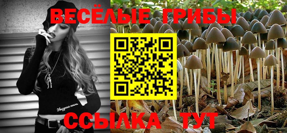 Галлюциногенные грибы GOLDEN TEACHER Коркино
