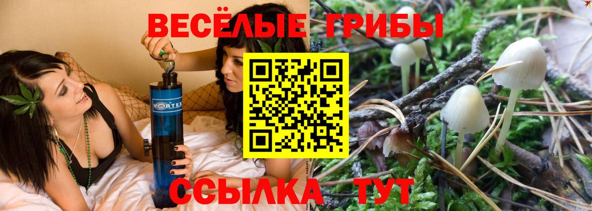 Галлюциногенные грибы Cubensis  Галлюциногенные грибы MAGIC MUSHROOMS  Вход с VPN  Коркино 